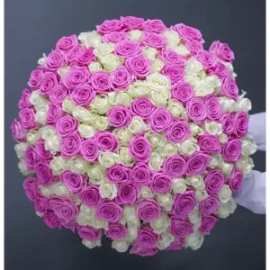 Букет із 201 рожевої та білої троянди