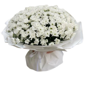 1149150_0-removebg-preview Букет із 25 білих хризантем