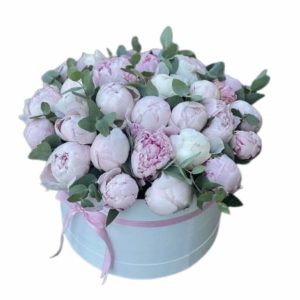 Композиція в коробці з 31 рожевої півонії та евкаліпту