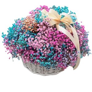 121 Кошик із 25 різнокольорової гіпсофіли