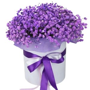 132 Композиція у коробці з 11 гілок гіпсофіли "Лавіна"