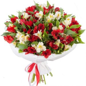 1vfrhxh49m2h0freykzgdpaf262hvdjo Букет із 25 червоних та білих альстромерії