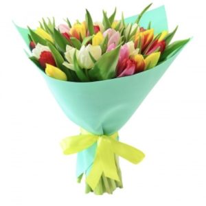 Букет із 25 різнокольорових тюльпанів
