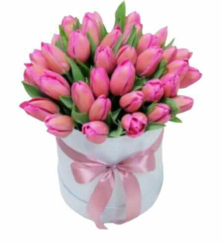 Букет із 29 рожевих тюльпанів у коробці