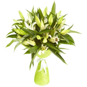 437191800-860×860 Букет із 9 білих лілій «Мілена»