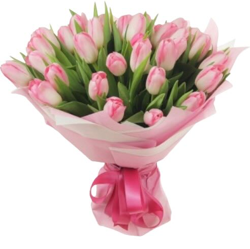 Букет із 35 рожевих тюльпана