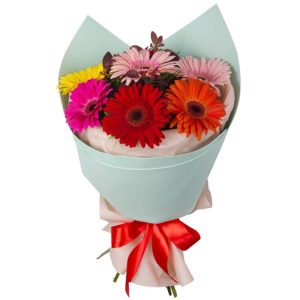 4leg1is9748pw2f64a2yrni86uvqpbwa Букет із 7 різнобарвних гербер