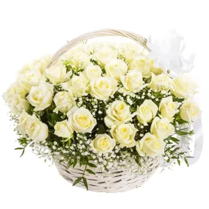 Кошик із 51 трояндою та гіпсофілою