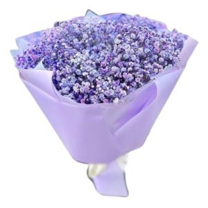 Букет із 5 фіолетових гіпсофіл