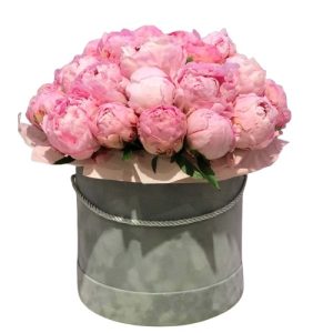 Композиція із 25 рожевих півоній