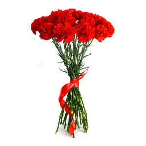 5y6srhr7xwb8jnzp4cg2etxll4ht3gf6 Букет з 15 червоних гвоздик «Пам’ятай»