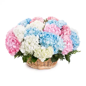 6318-700×700 Композиція із 25 гортензій