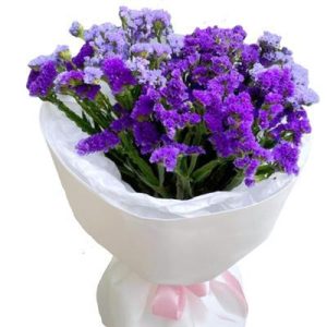 Букет із 9 гілок статиці