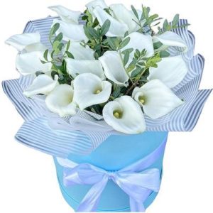 6549508050_korobka-z-19 Коробка із 19 калами