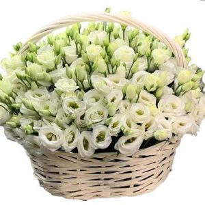 Вишукана композиція із 25 білих еустом