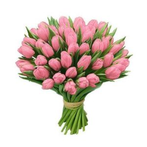 Букет із 49 рожевих тюльпанів