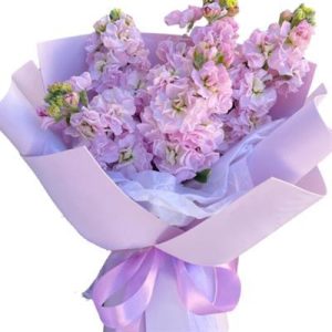 6549520394_mini-buket-iz Букет із 5 гілок матіоли