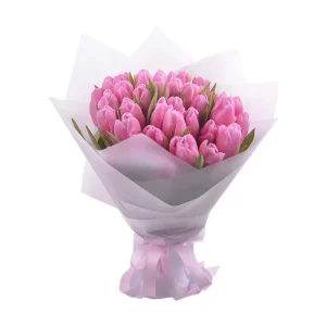 Букет із 35 рожевих тюльпанів