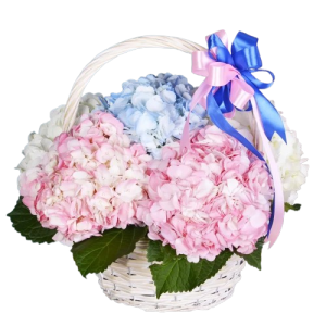 6575335002_tsvety-s-dostavkoj-removebg-preview Кошик із 5 гортензіями