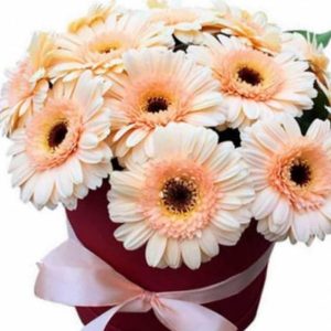 6592856067_kompozitsiya-iz-15 Композиція із 15 гербер в коробці