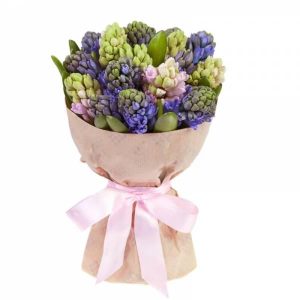 Букет із 15 гіацинтів