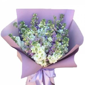 6592988478_buket-iz-21 Букет із 21 матіоли