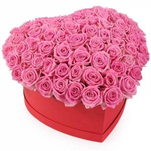 51 рожева троянда в коробці