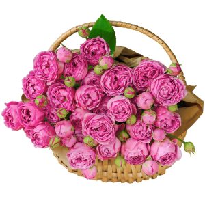 6643209001_buket-iz-pionovidnoj Кошик із півонієподібною трояндою