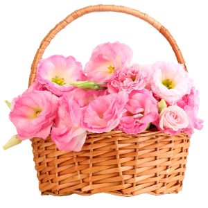 6643216682_dostavka-tsvetov-po Ніжний кошик з 9 еустоми