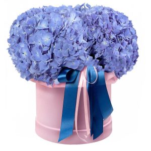 Композиція в коробці із 3 синіх гортензій