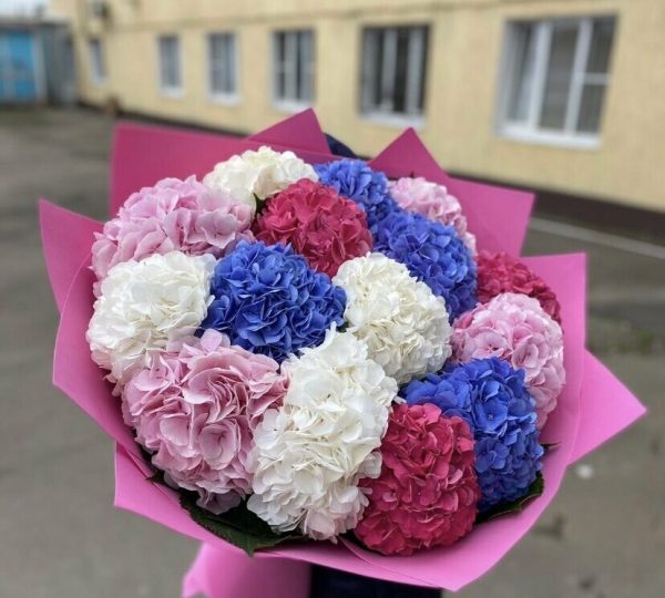 Букет із 15 гортензій