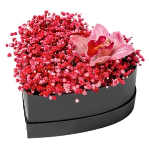 Композиція в коробці з 7 гілок червоної гіпсофіли та орхідеї