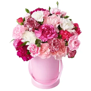 6648982481_tsvety-v-korobke Композиція в коробці з 19 гвоздик міксом