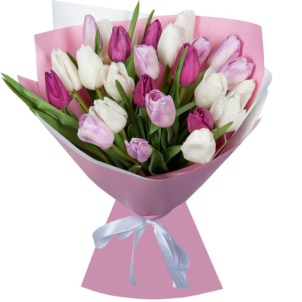 Букет із 25 різнокольорових тюльпанів