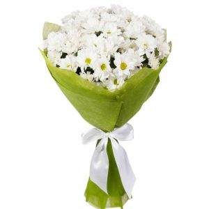 8c7e89bdef46ee27094a2d030068910a Букет із 5 білих хризантем «Дотик тепла»