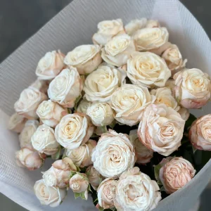 Букет із 7 гілок півонієподібної троянди