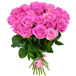 9ngcu82496x41z08h3xb2g73squxucqo Букет із 25 рожевих троянд