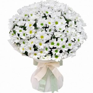 Букет із 15 білих ромашкових хризантем