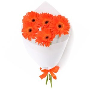 cid4suozl9dvyux3eciseti58ebb0k48 Букет із 5 помаранчевих гербер