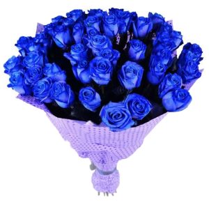 ck2c8jj79ma0lclscwlwhojhez3vp17h Букет із 51 синьої троянди