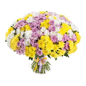 img5555-1000×1000 Букет із 51 різнокольорової хризантеми