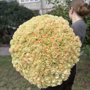 img_7486_7487.1800x1800w Розкішний букет із 201 кремової троянди