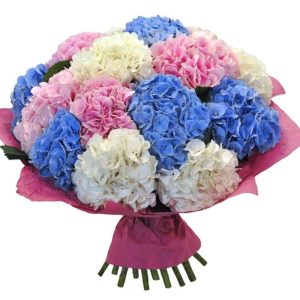Букет із 15 гортензій