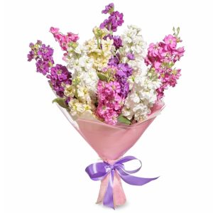 Букет із 11 матіоли