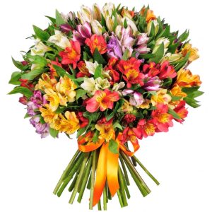 qjfk677le3oxh18thz2uh02qpwqy22yo Букет із 35 різнокольорових альстромерій