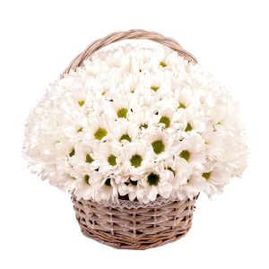 qyp4y4onp9ejbspjrupvg1soeq6vfkme Хризантеми в кошику