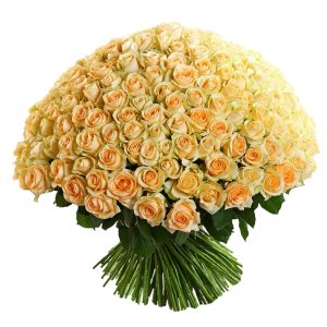 Розкішний букет із 201 кремової троянди