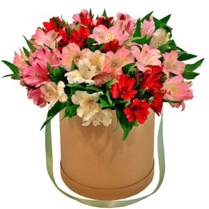 wvpep9j4yq7sqnajpzsdprimuqa90exf Композиція із 15 різнокольорових альстромерій в коробці