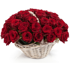 Кошик із 51 червоної троянди