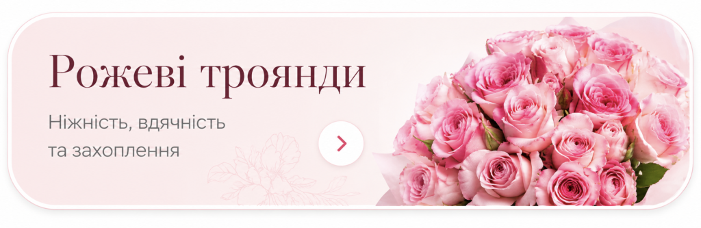 rozhevi troyandy